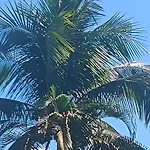 Pousada Nova Primavera