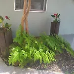 Pousada Nova Primavera