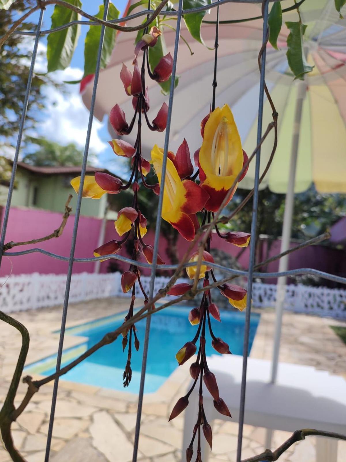 Nova Primavera Pensão Ubatuba
