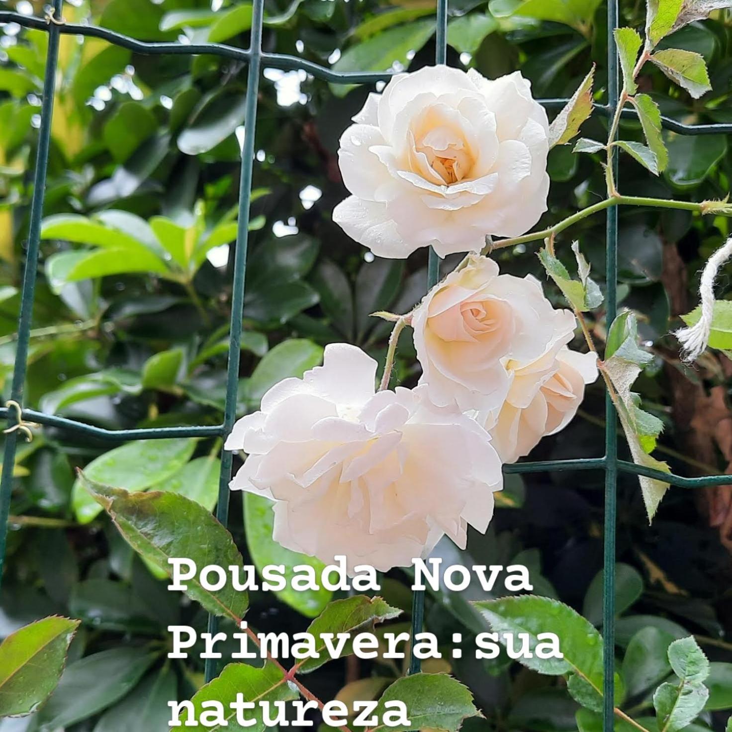 Pensão Nova Primavera