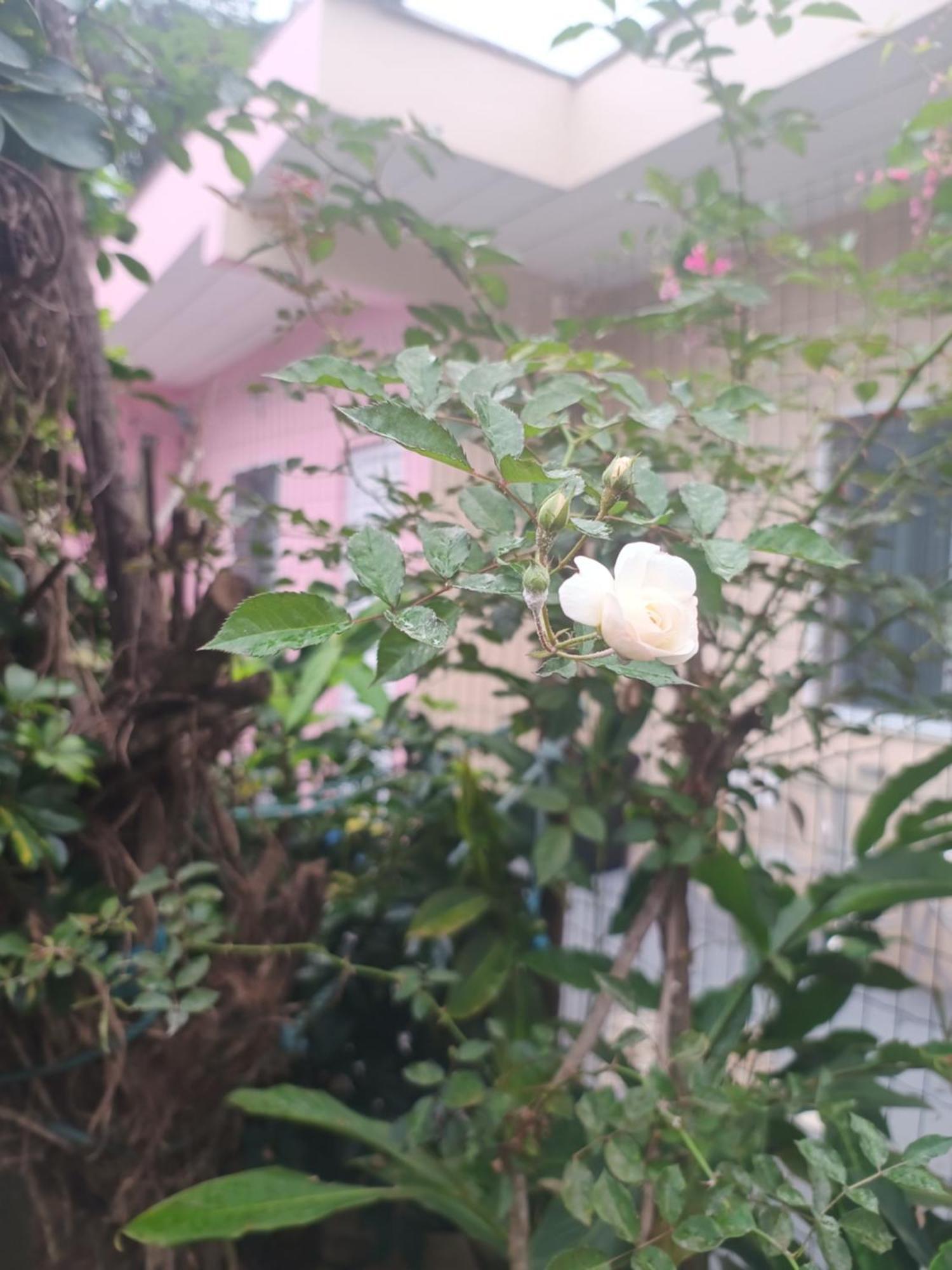 Nova Primavera Pensão Ubatuba
